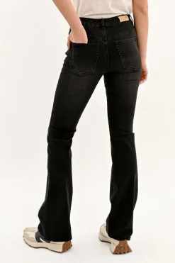 Jean boot-cut