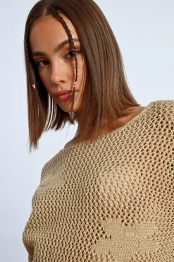 Maille en crochet fleurs